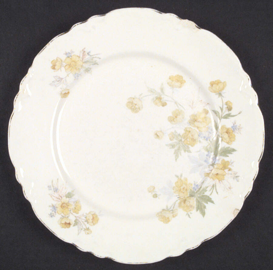 Susan Dinner Plate by Homer Laughlin -1