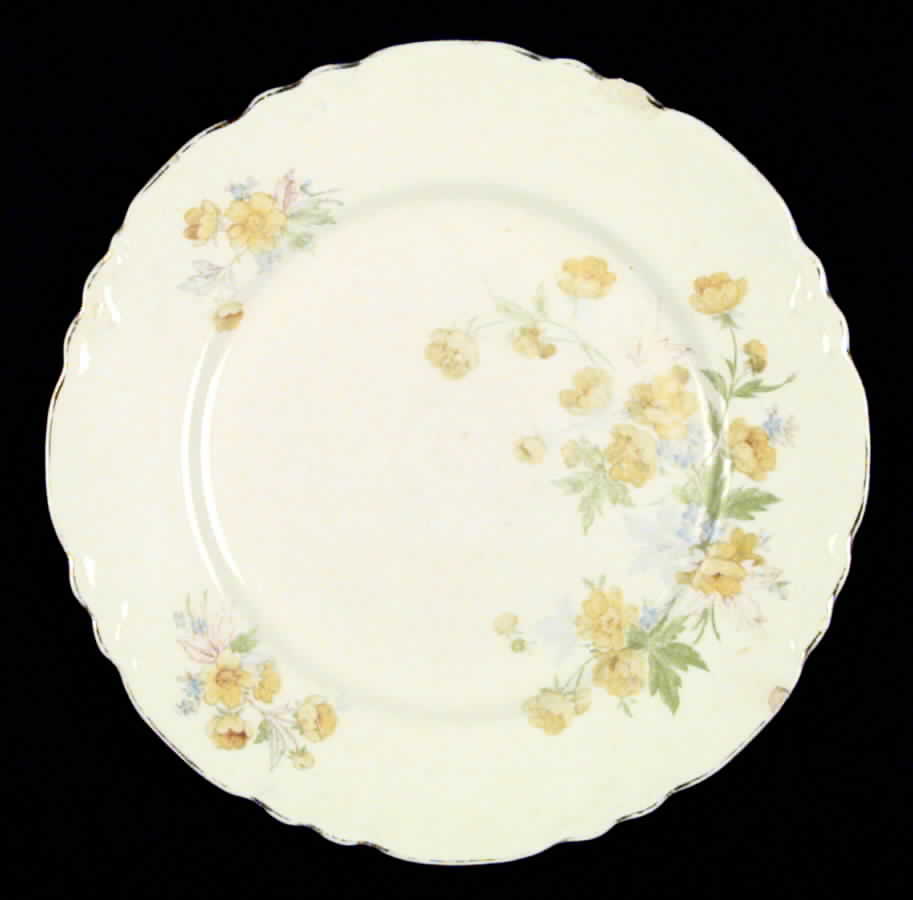 Susan Dinner Plate by Homer Laughlin -1