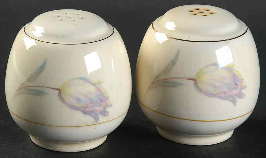 Tulip (Eggshell Nautilus) Salt & Pepper Set by Homer Laughlin -1