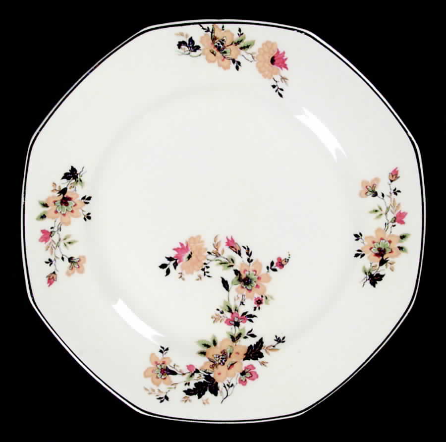 W127-30 Dinner Plate by Homer Laughlin -1