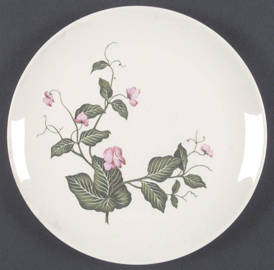 Sweet Pea (No Trim) Dinner Plate by Homer Laughlin -1