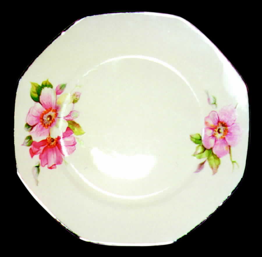 Wild Rose Salad Plate by Homer Laughlin -1