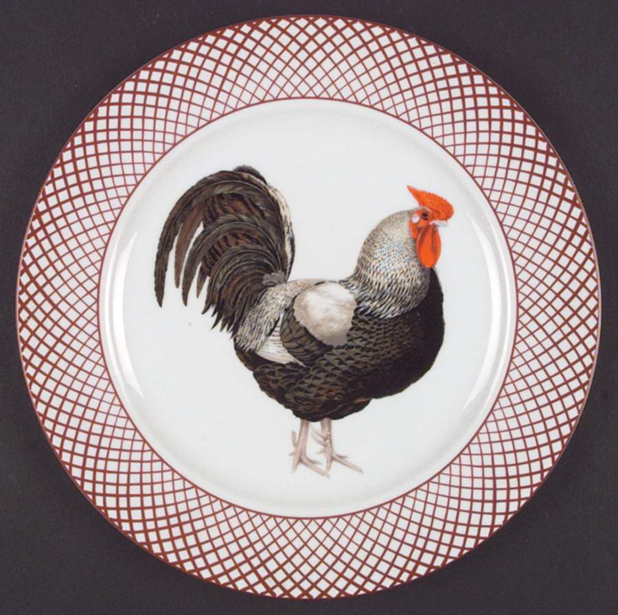Devonshire Dinner Plate by Haldon-1