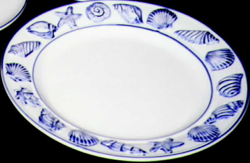 HLD1 Dinner Plate by Haldon-1