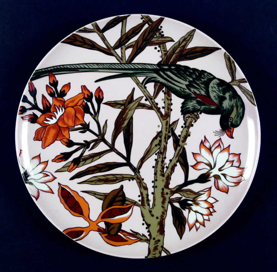 Parrots Dinner Plate by Haldon-1