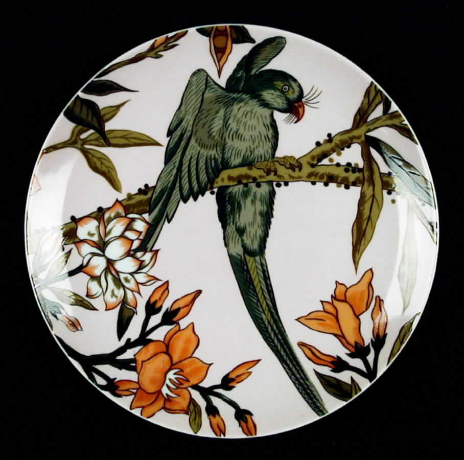 Parrots Salad Plate by Haldon-1
