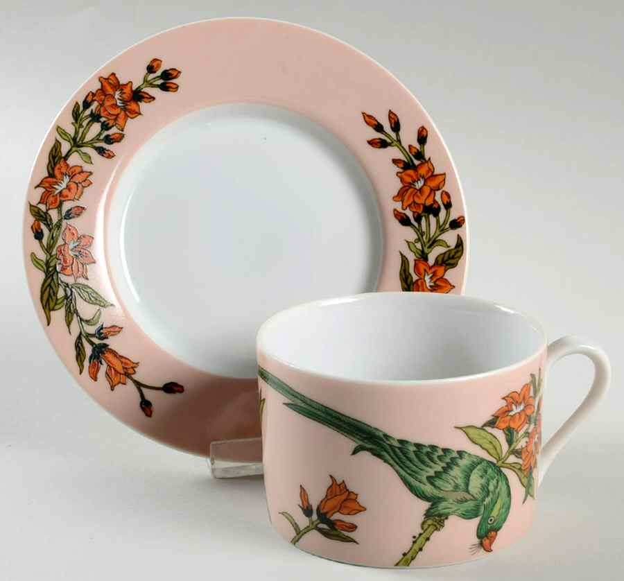 Parrots Flat Cup & Saucer Set by Haldon-1