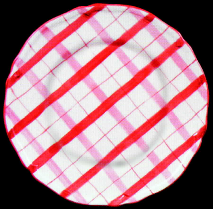 Red Allover Plaid Dinner Plate by Haldon-1