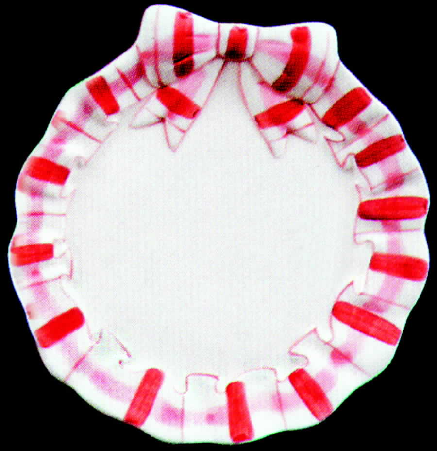 Red Plaid Border Bread & Butter Plate by Haldon-1