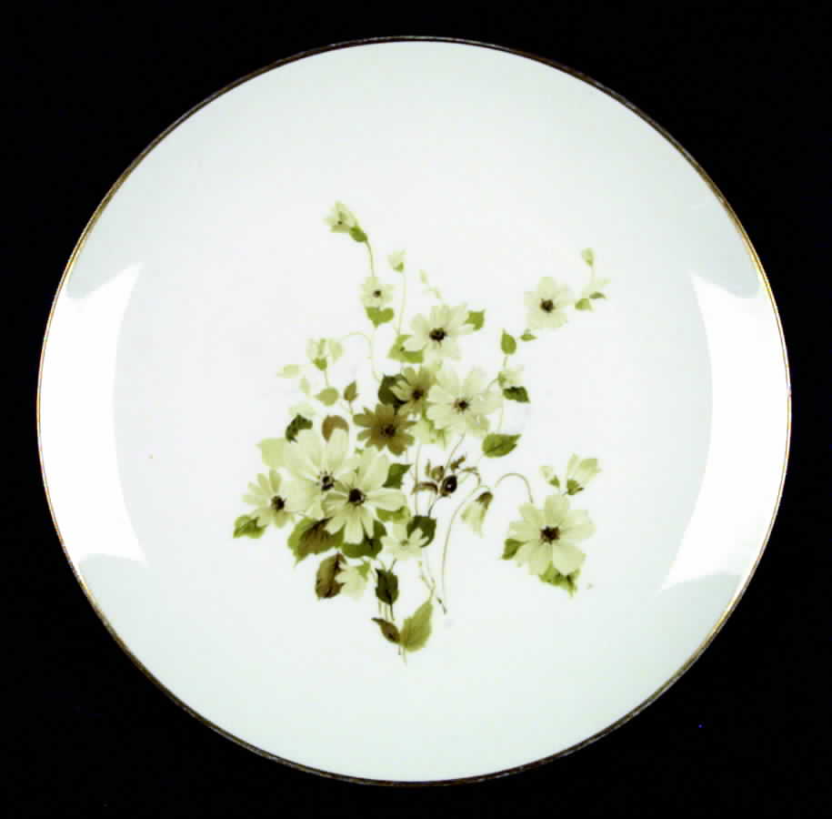 HLI2 Dinner Plate by Holiday-1