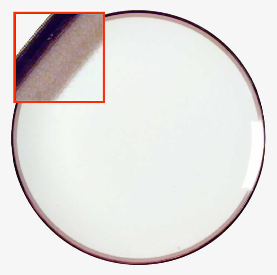 Monticello Dinner Plate by Holiday-1