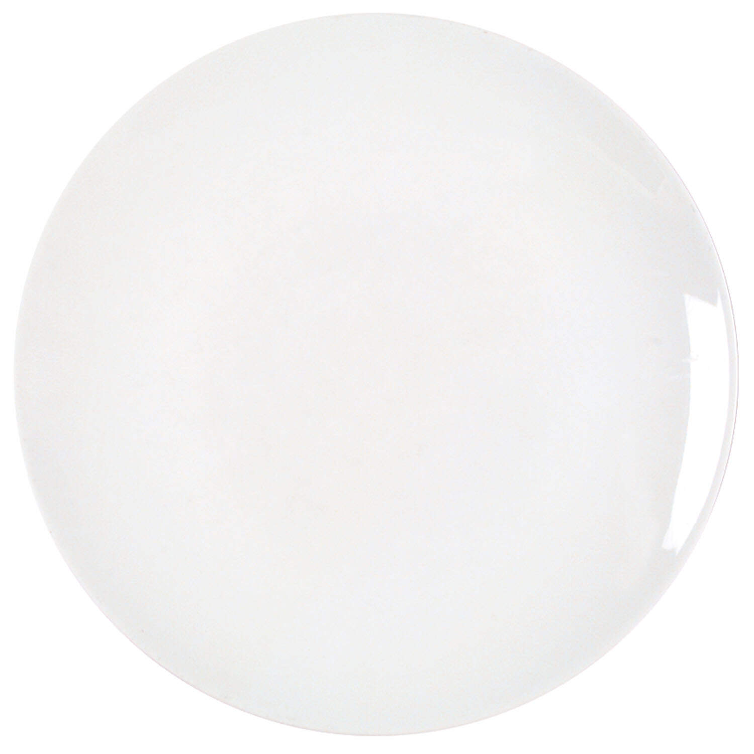 White Dinner Plate by Holiday-1