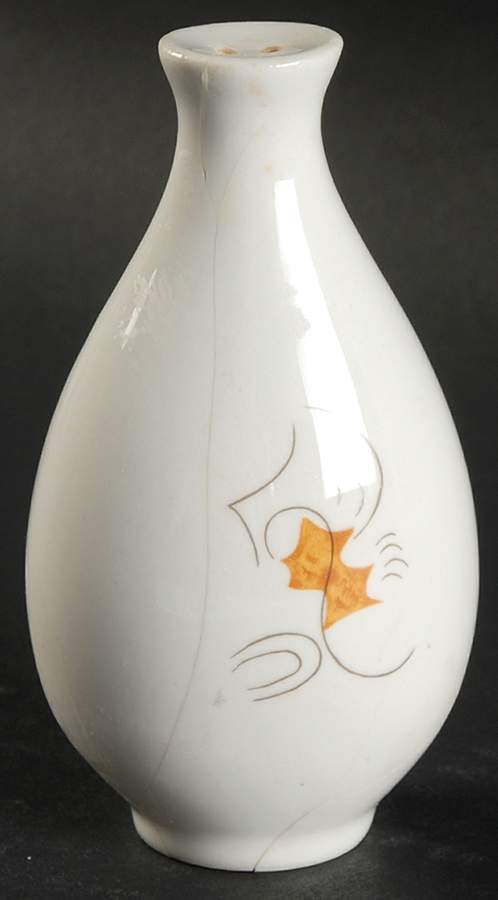 Arizona Salt Shaker by Hall-1