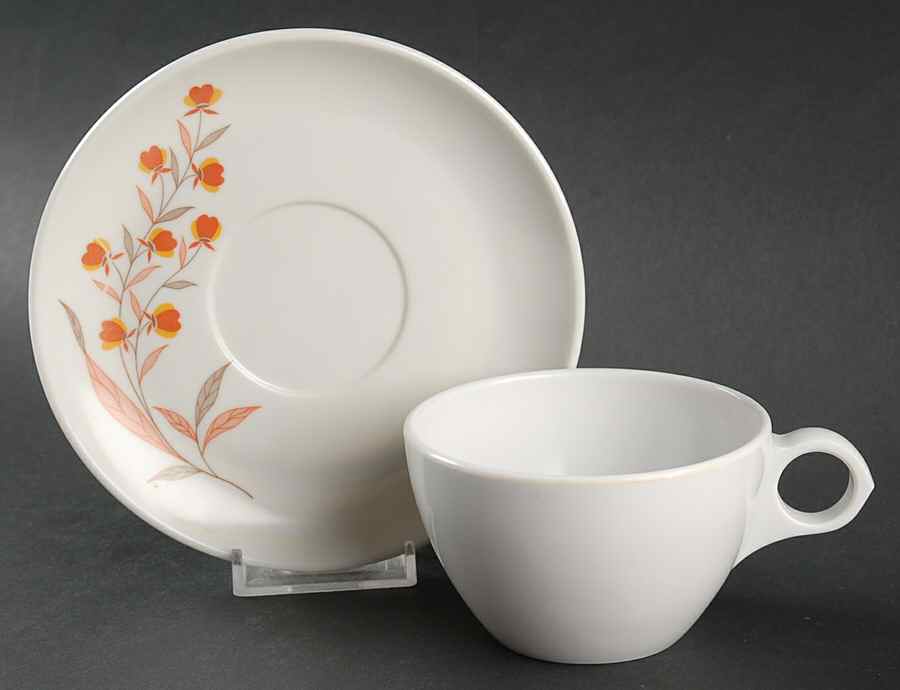 Autumn Leaf Melmac/Melamine Flat Cup & Saucer Set by Hall-1