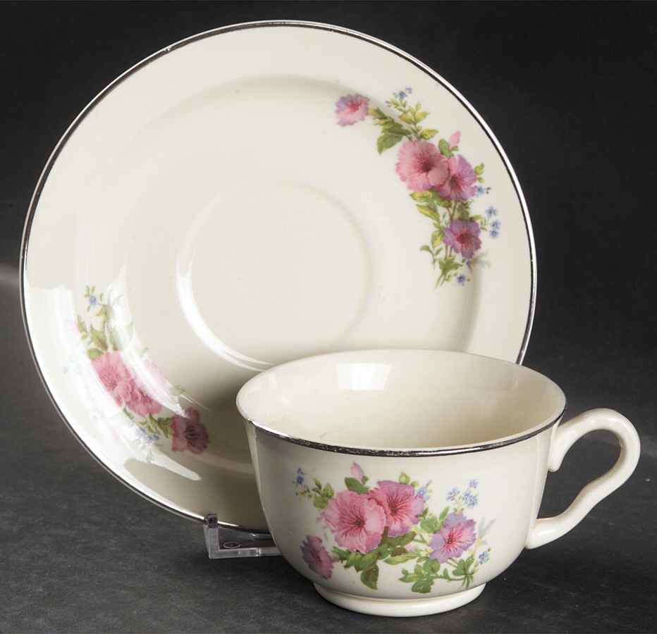 Pastel Morning Glory Footed Cup & Saucer Set by Hall-1