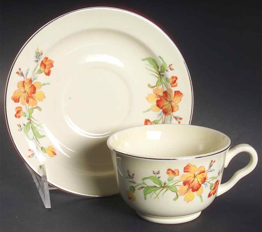 Serenade Footed Cup & Saucer Set by Hall-1