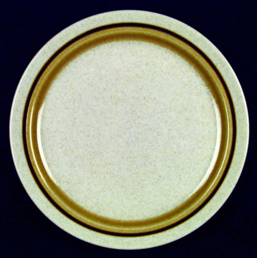 Scottsdale Dinner Plate by Haniwa-1