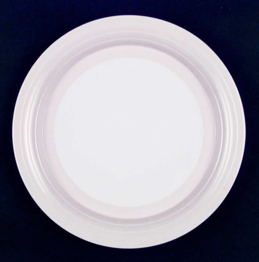 Swan Lake Pink Dinner Plate by Hornsea-1