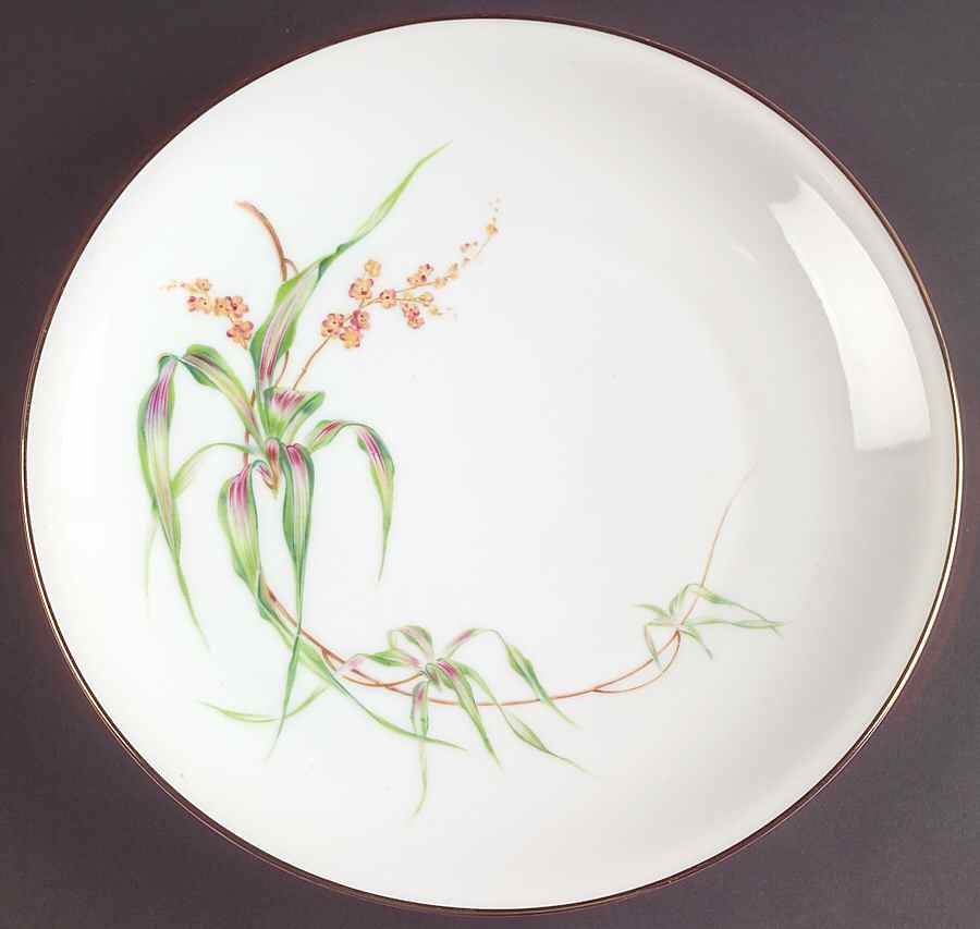 Drazene Dinner Plate by Heirloom-1