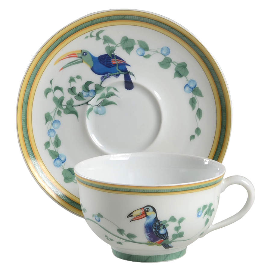Toucans (Birds) Flat Cup & Saucer Set by Hermes-1