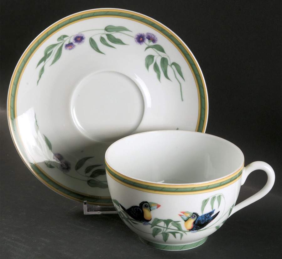 Toucans (Birds) Breakfast Cup & Saucer Set by Hermes-1