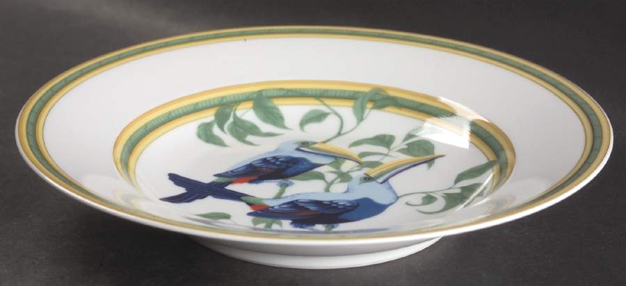 Toucans (Birds) Large Rim Soup Bowl by Hermes-1