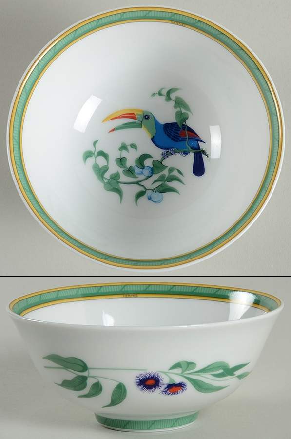 Toucans (Birds) Rice Bowl by Hermes-1