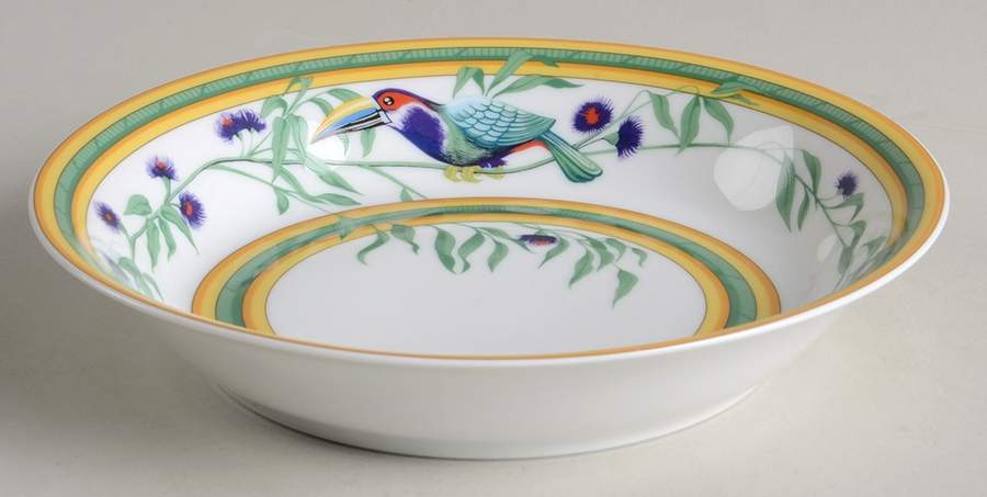 Toucans (Birds) Coupe Cereal Bowl by Hermes-1