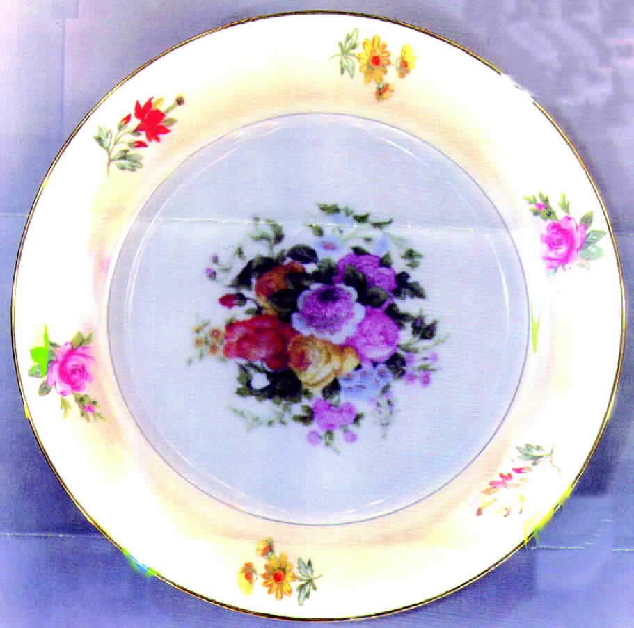 HRO3 Dinner Plate by Robert Haviland-1