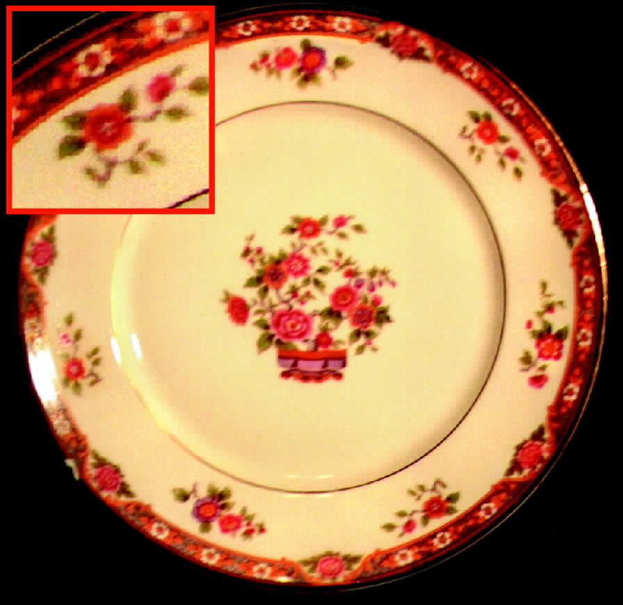 HRO5 Dinner Plate by Robert Haviland-1