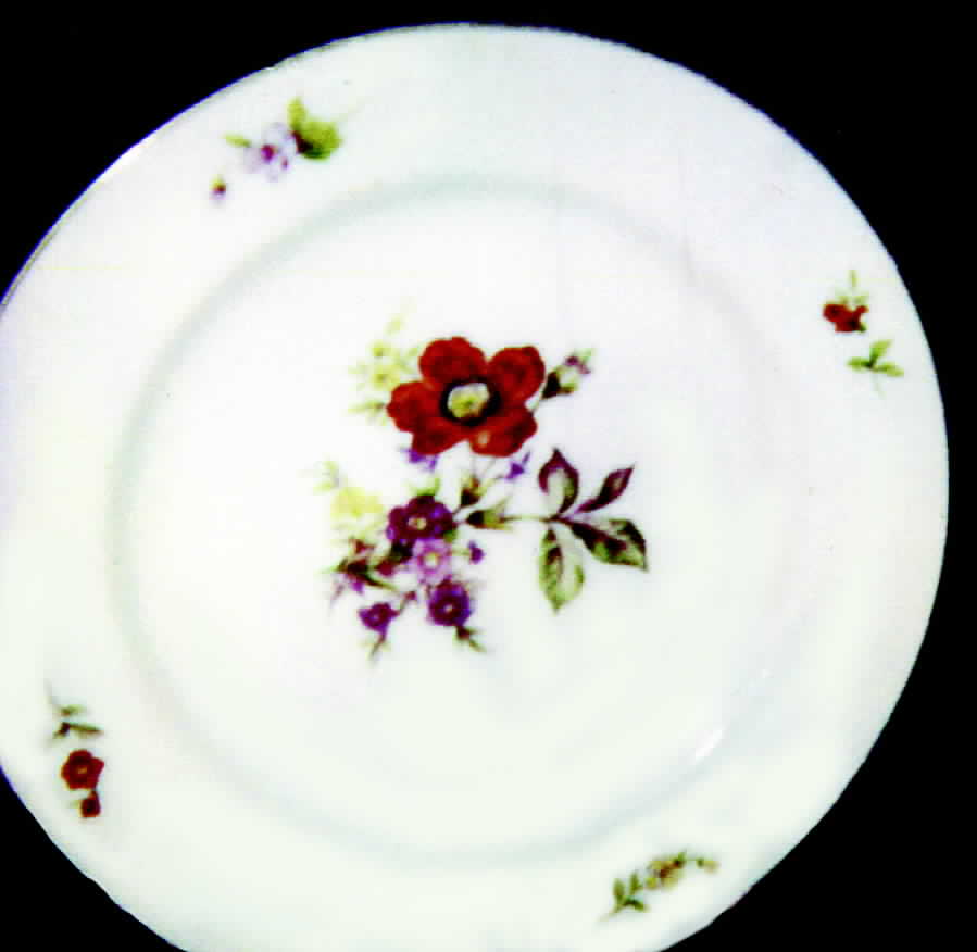 HSN1 (JAPAN) Dinner Plate by Hadson (Japan)-1