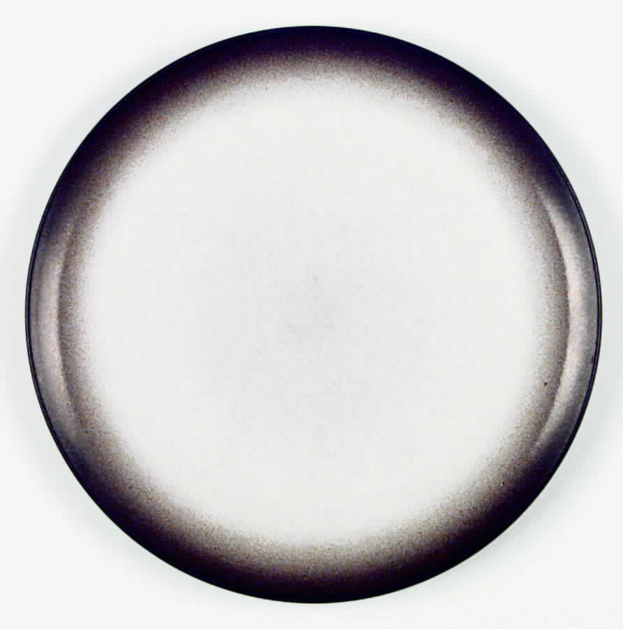 Beachstone Dinner Plate by Heath-1