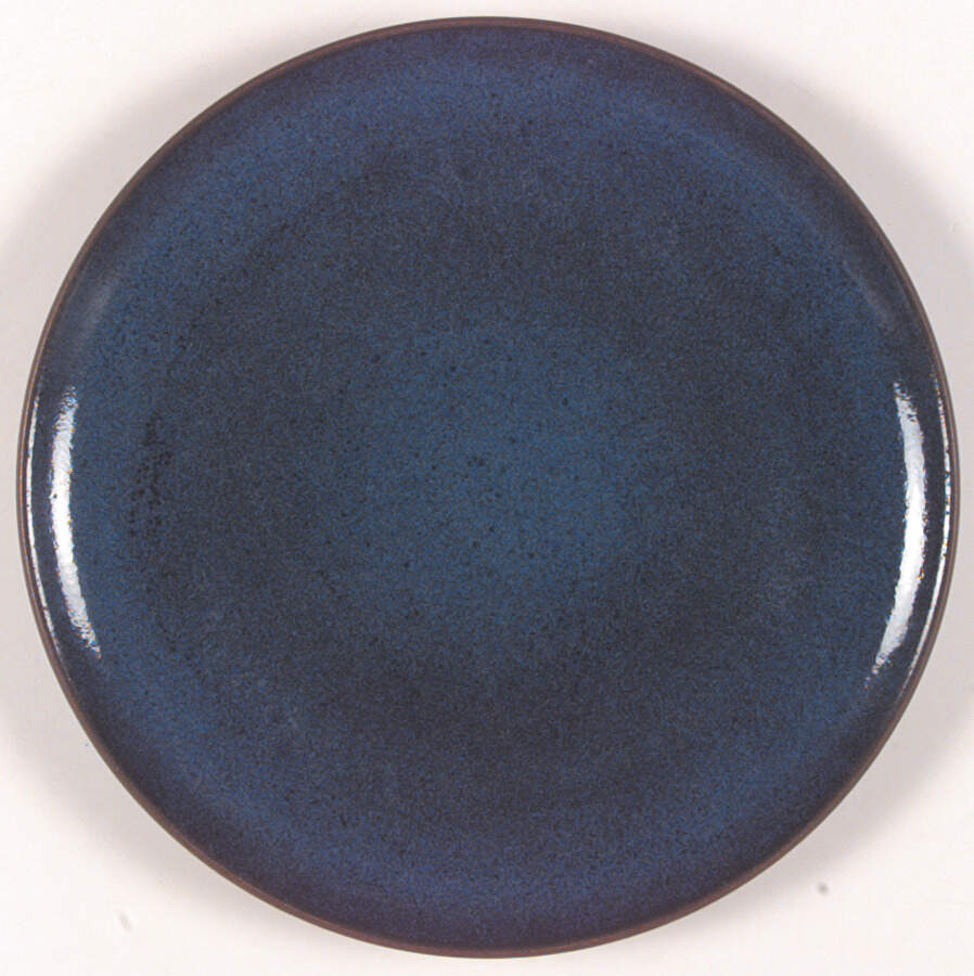 Moonstone (Coupe) Dinner Plate by Heath-1