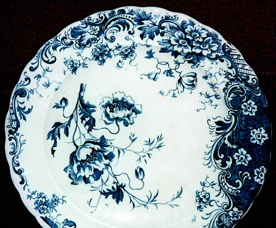 Vera Dinner Plate by Hulme & Christie-1