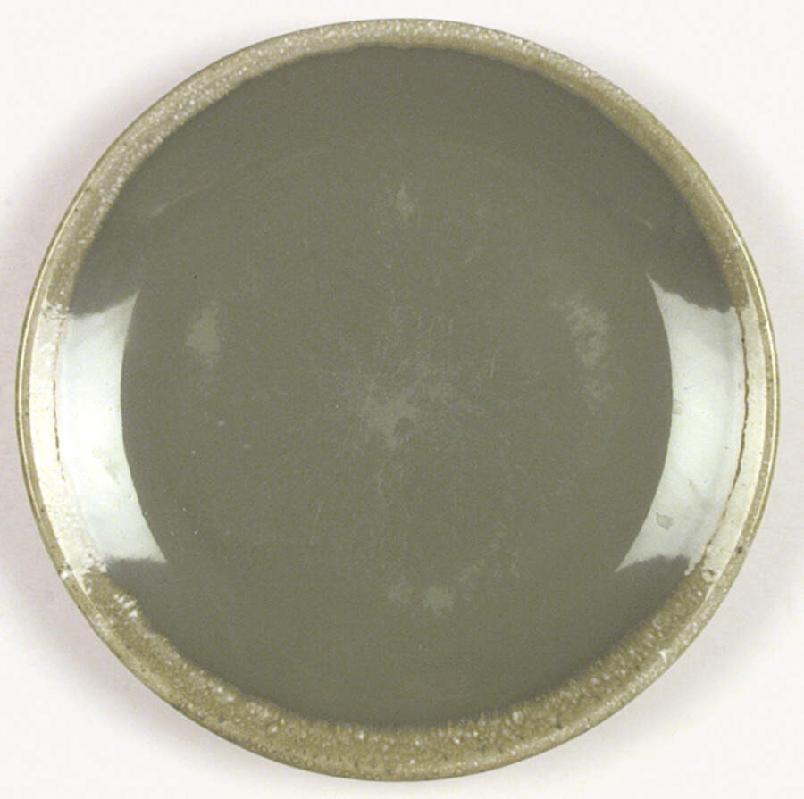 Avocado Dinner Plate by Hull-1