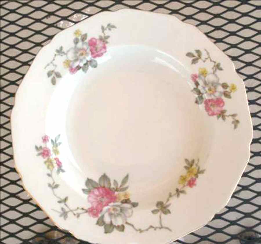 01987 Dinner Plate by Hutschenreuther-1
