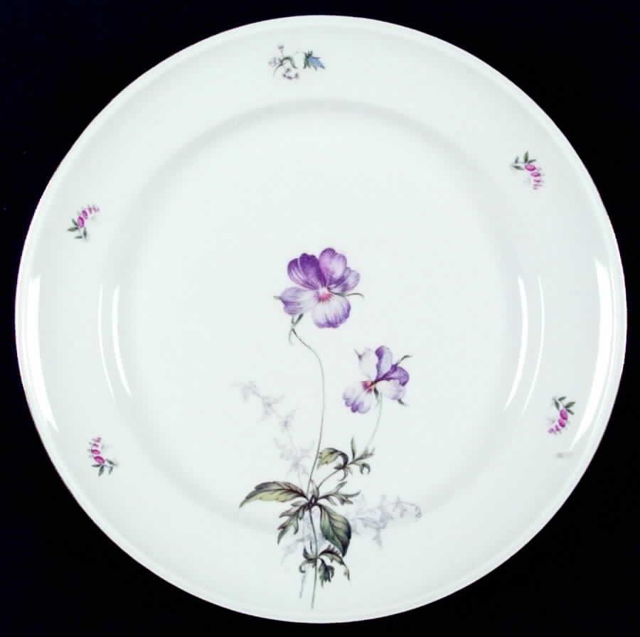 1090 Dinner Plate by Hutschenreuther-1