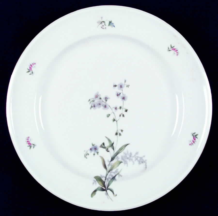 1090 Dinner Plate by Hutschenreuther-1