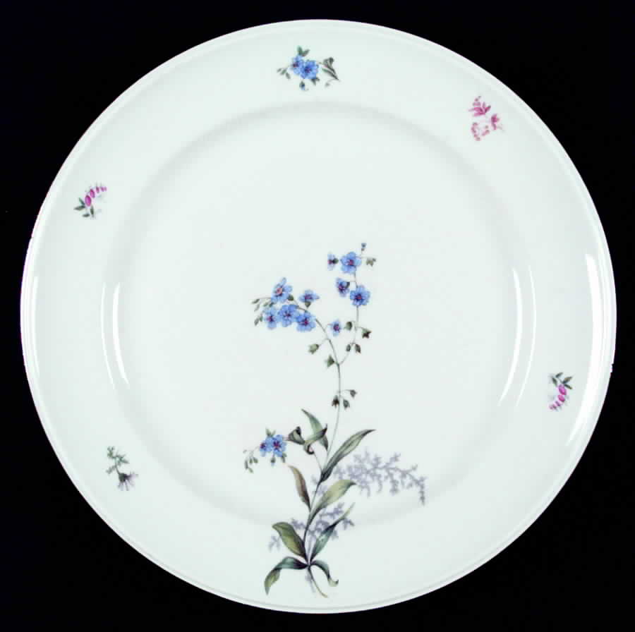 1090 Dinner Plate by Hutschenreuther-1