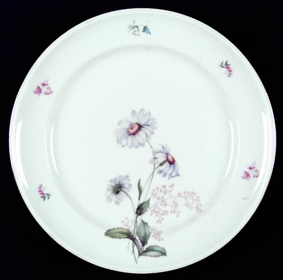 1090 Dinner Plate by Hutschenreuther-1