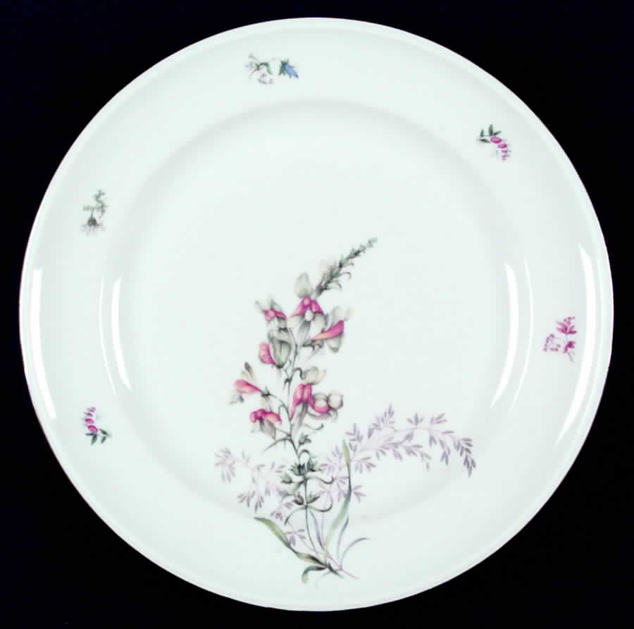 1090 Dinner Plate by Hutschenreuther-1