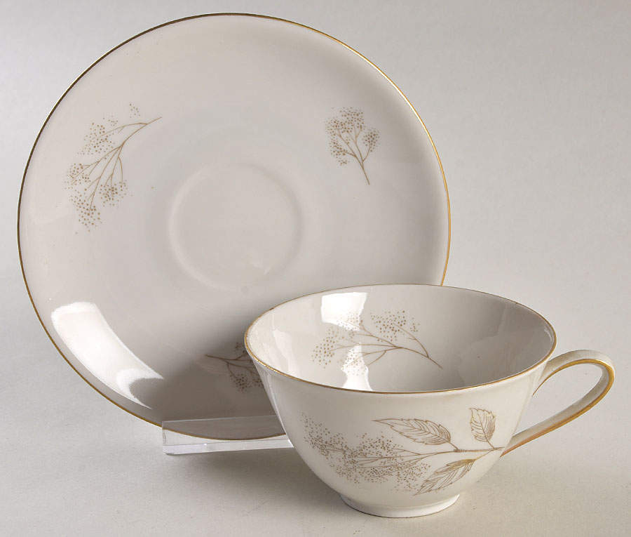 2382 Flat Cup & Saucer Set by Hutschenreuther-1