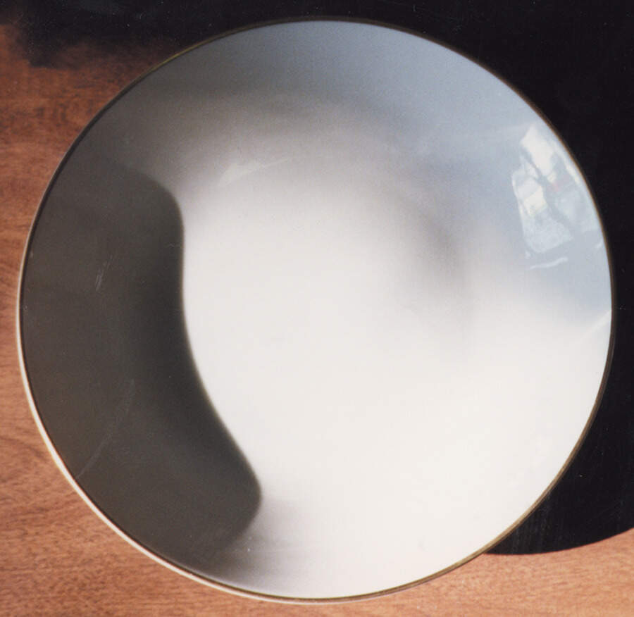 31138 Dinner Plate by Hutschenreuther-1
