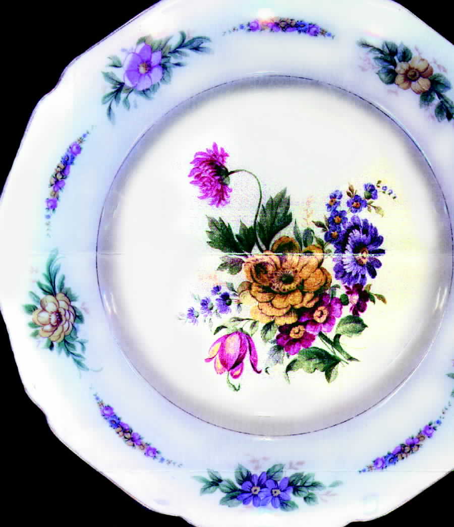 3823 Dinner Plate by Hutschenreuther-1