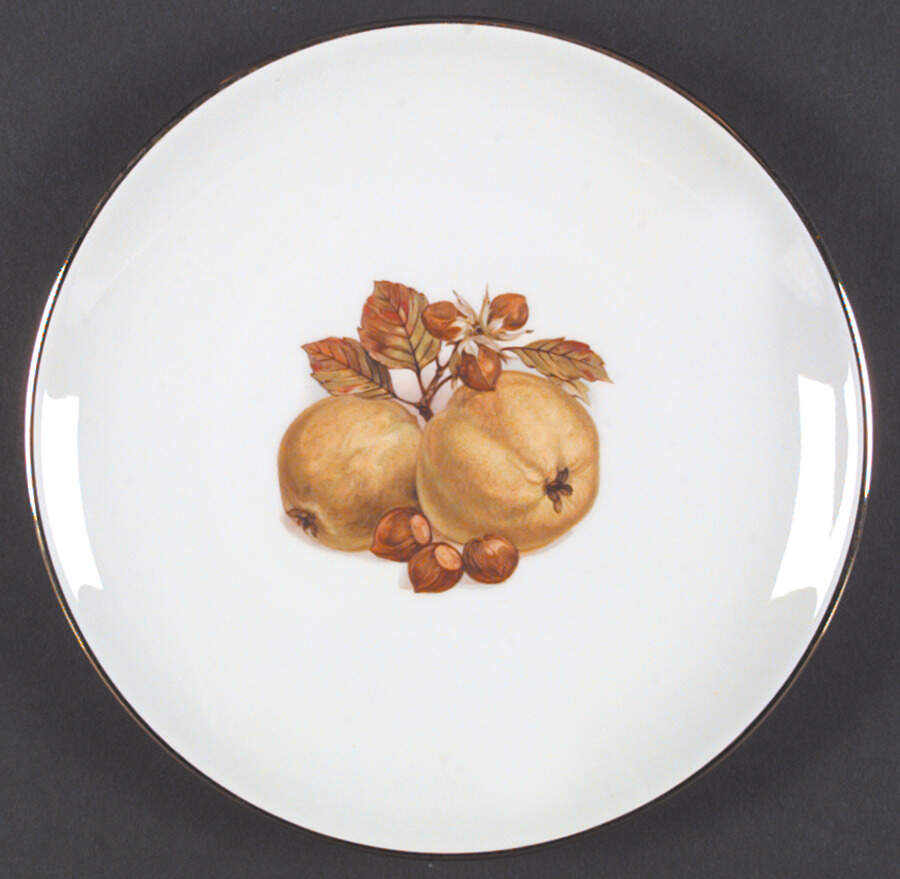 5025 Dinner Plate by Hutschenreuther-1