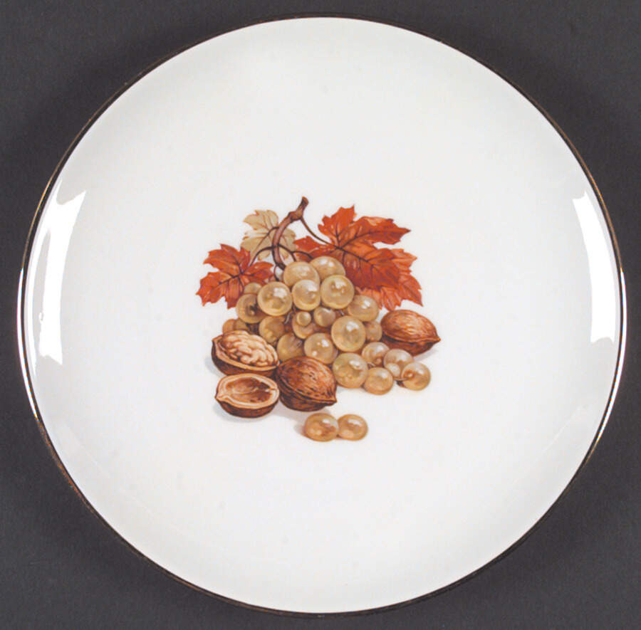 5025 Dinner Plate by Hutschenreuther-1