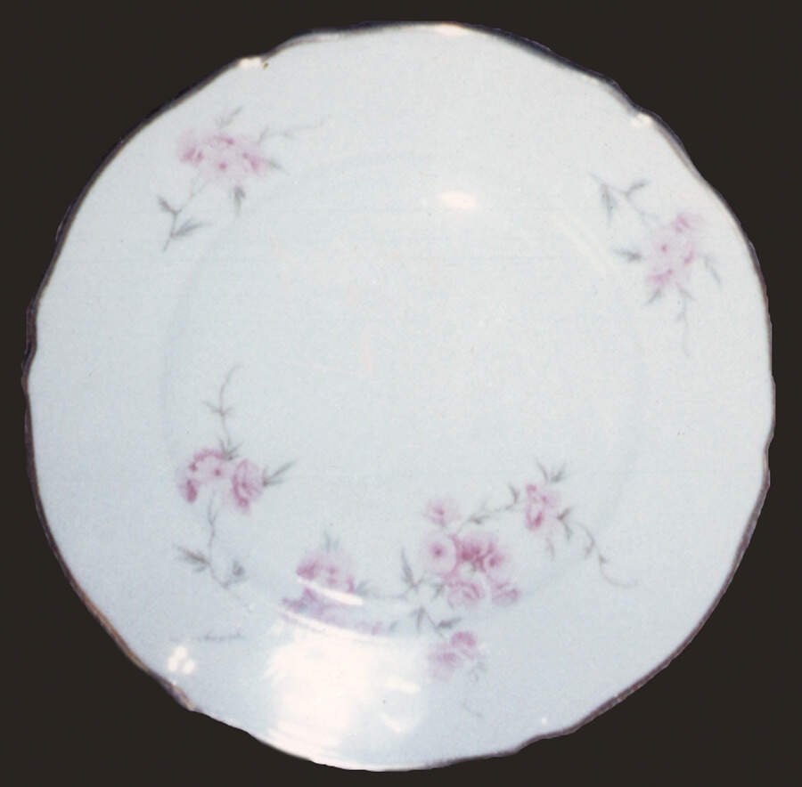 6669 Dinner Plate by Hutschenreuther-1