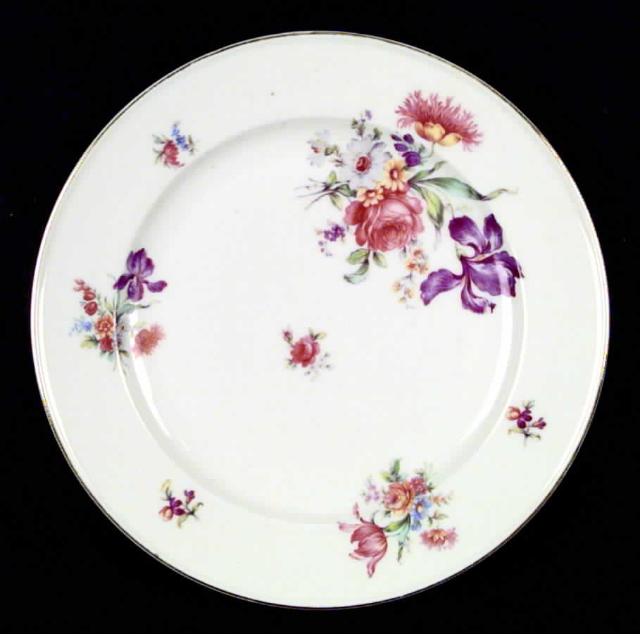 7652 Dinner Plate by Hutschenreuther-1