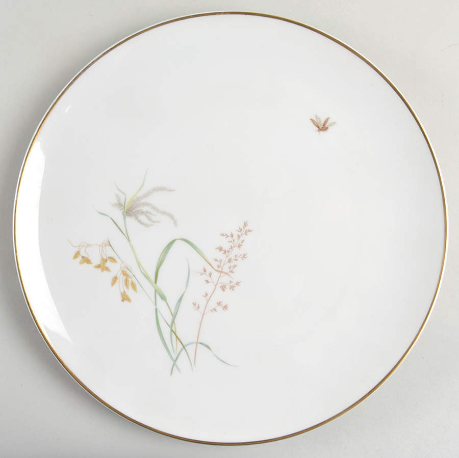 8126 Dinner Plate by Hutschenreuther-1