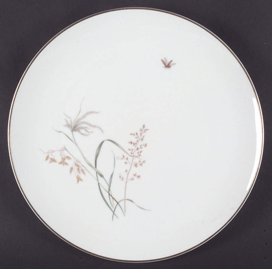8126 Dinner Plate by Hutschenreuther-1
